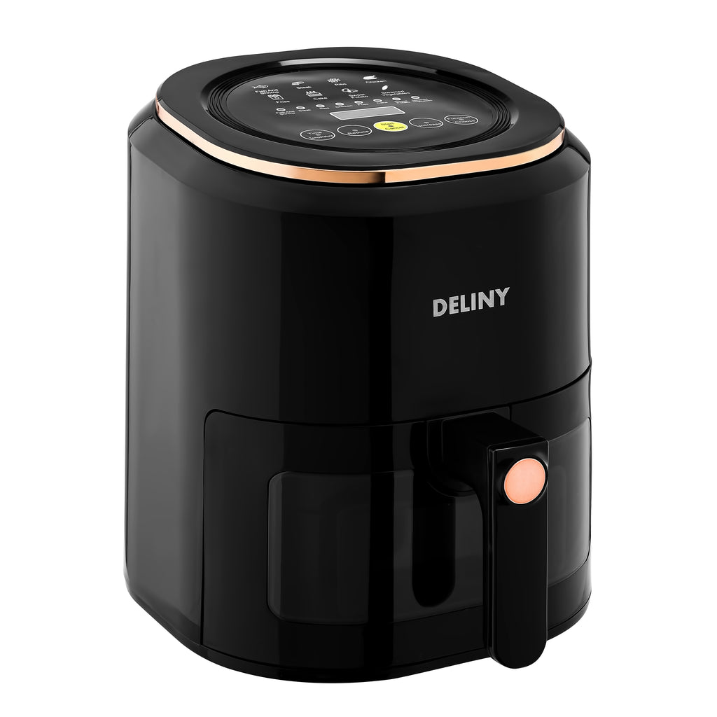 FRITEUZA DELINY PRO