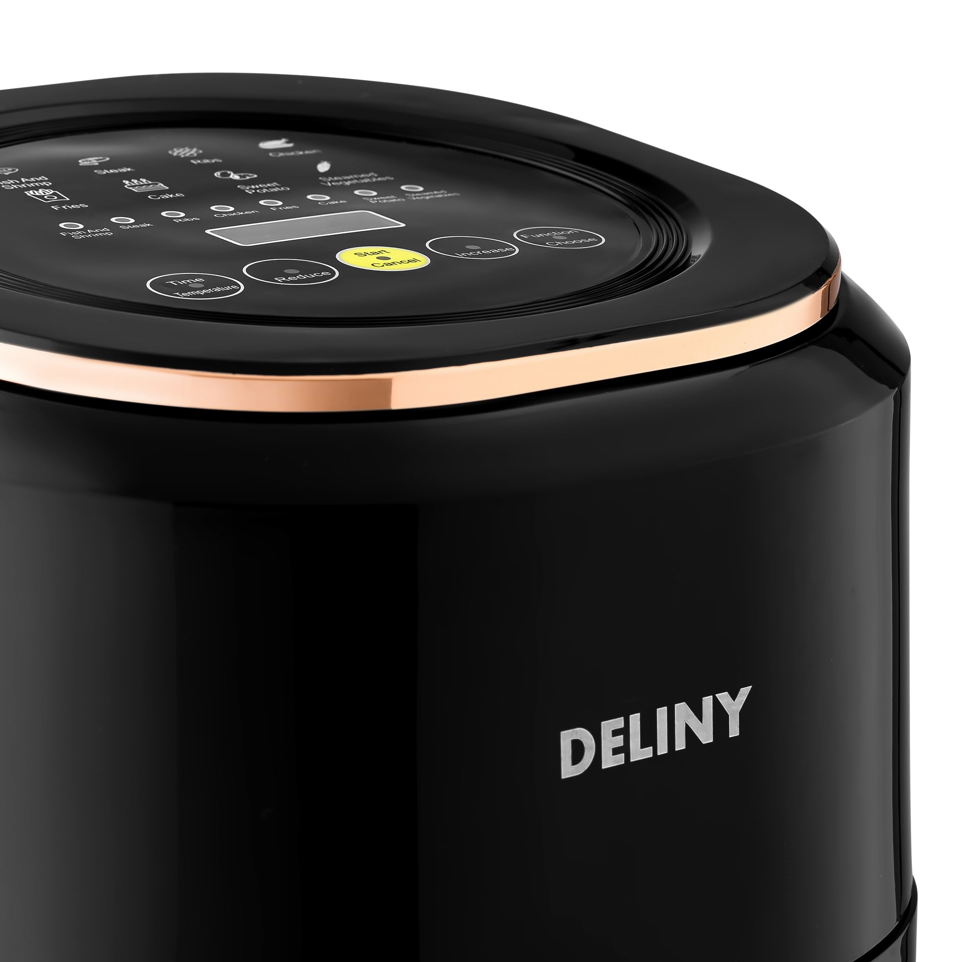 FRITEUZA DELINY PRO