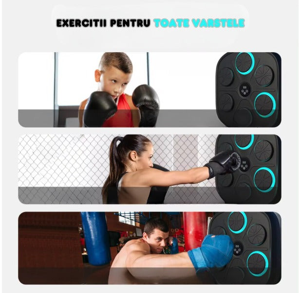 Tinta Lovituri Box, Difuzor Incorporat, Conexiune Bluetooth, Display pentru Monitorizarea Loviturilor, Iluminare LED a Zonei de Lovire, Montabil pe perete, Manusi Incluse, Pentru Copii si Adulti