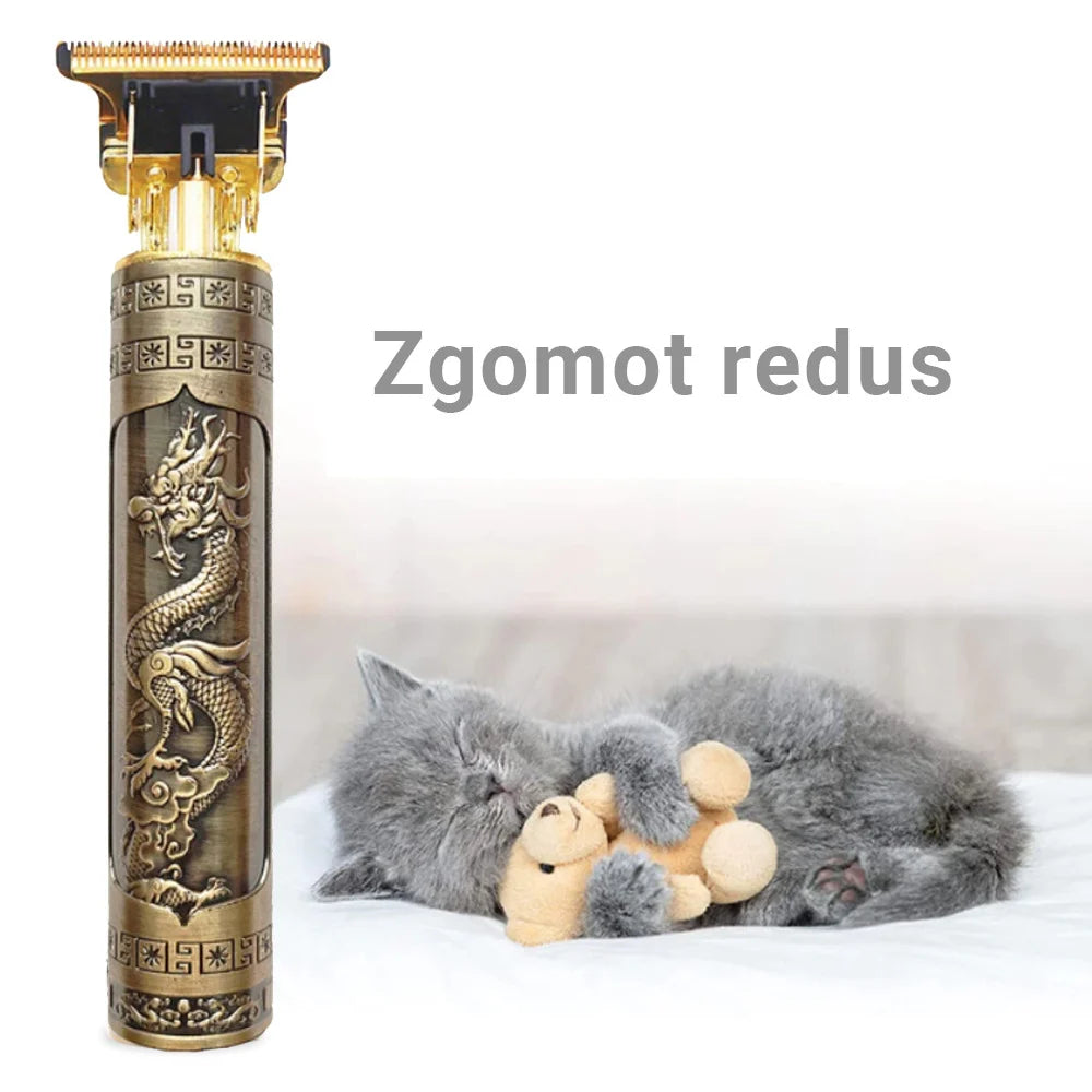 Aparat de Tuns Modern